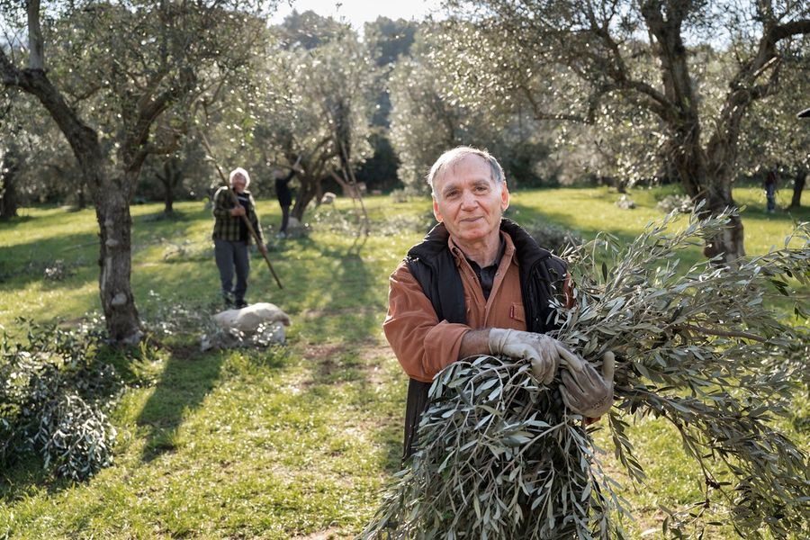 _ZIF4610 Opera Seme Farm Alliste Francesco Zizola